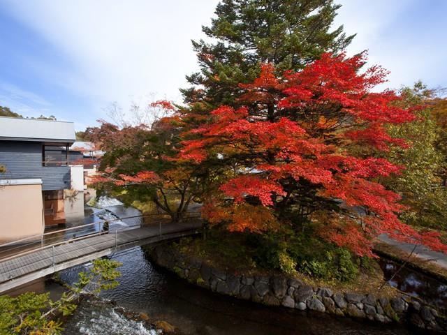 Hoshinoya Karuizawa Villa Bekvemmeligheter bilde